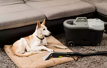 Pet Odor & Allergen Neutralization