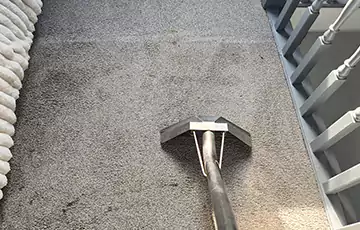 Stain & Spot Removal