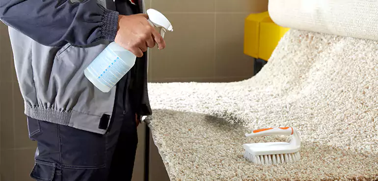 Why Bolton Home Owners Choose Us for Expert Stain Removal Services